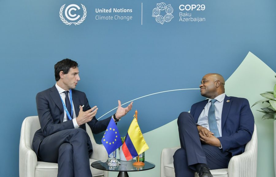 EU at COP29