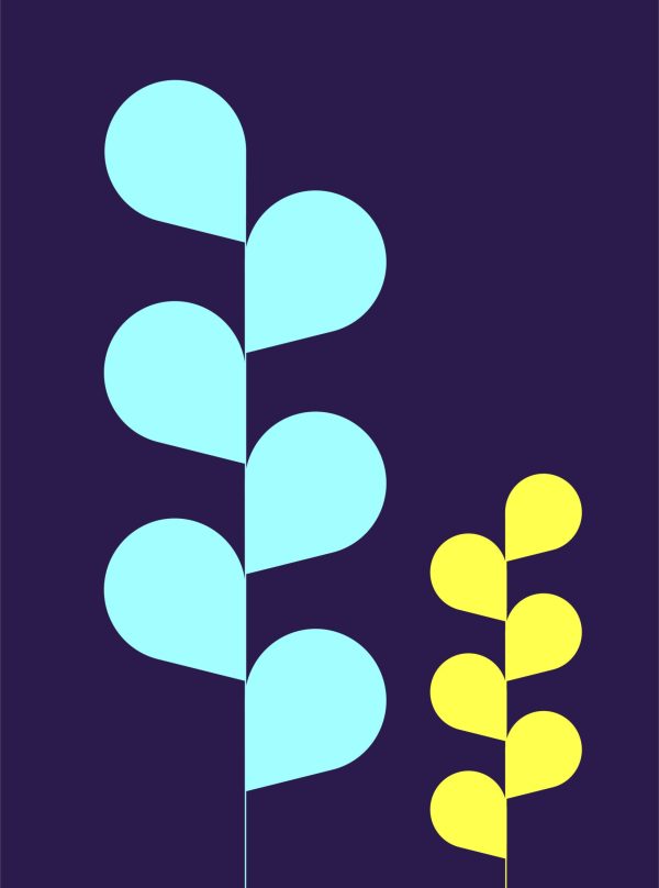 VOEU-visuals-team-03